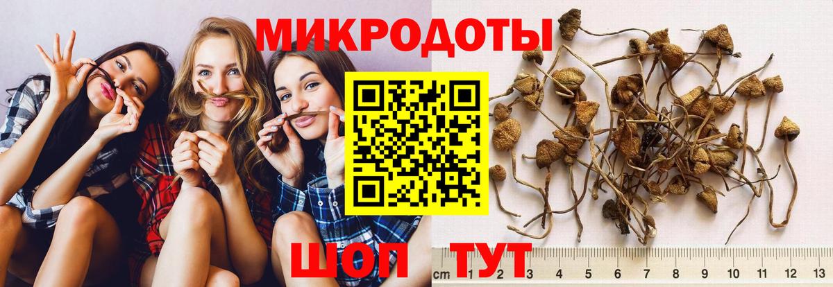 Новосибирск  Псилоцибиновые грибы мицелий  Вход с VPN 